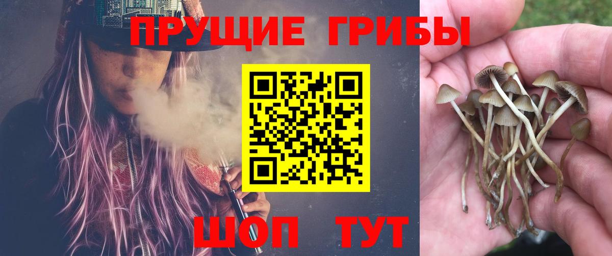 Спасск-Дальний  Псилоцибиновые грибы Magic Shrooms  Вход с VPN 
